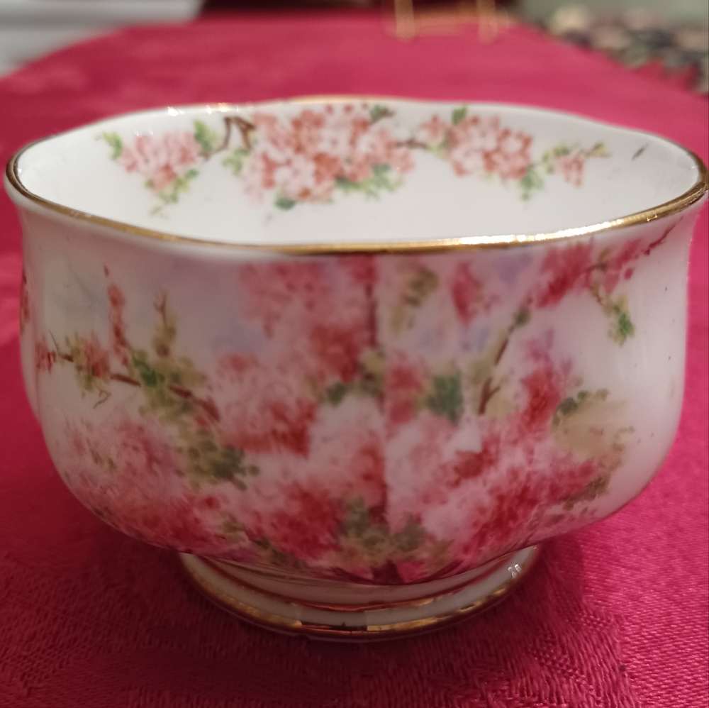 Royal Albert RARE Vintage Pre 1935 Blossom Time Sugar Bowl